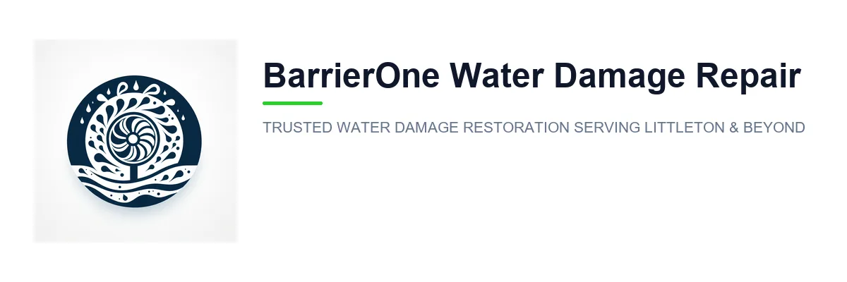 BarrierOne Water Damage Repair